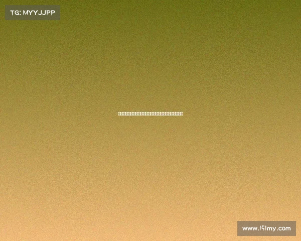 法尔克：金玟哉希望通过剩余季前赛评估自己能否获得重用