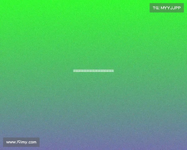 法尔克:金玟哉希望通过剩余季前赛评估自己能否获得重用